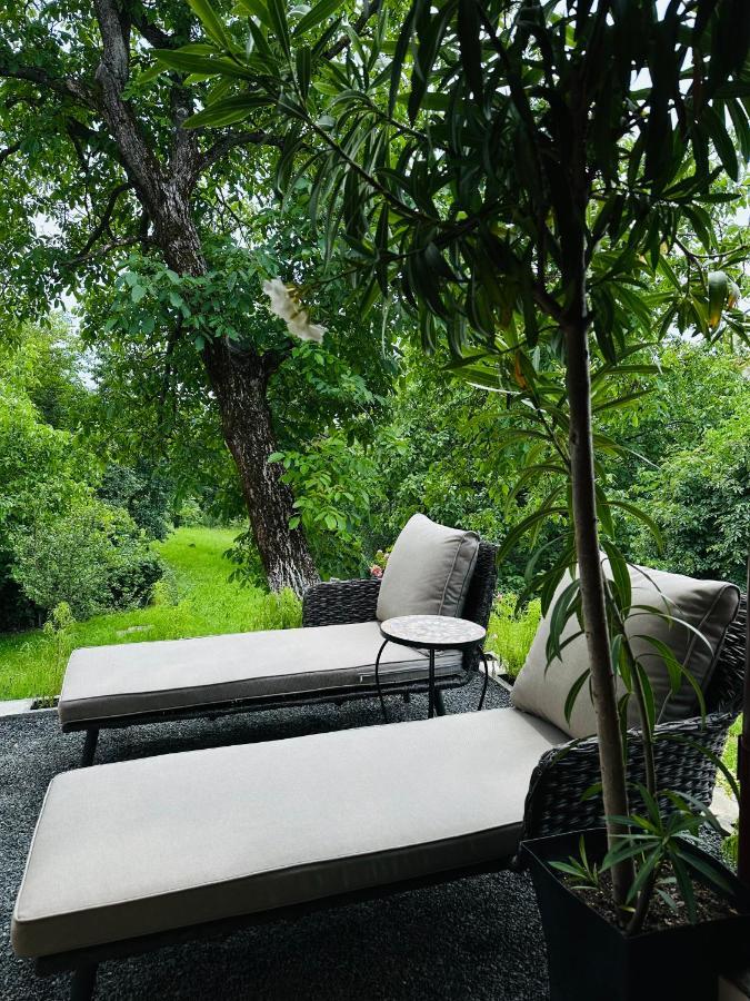 Casa Cerbului Apartment ไบอา-สปรี ภายนอก รูปภาพ